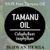 Jual Minyak Tamanu Oil Jogja, Jakarta, Bandung, Semarang, Yogyakarta, Surabaya, Medan, Makassar dan Seluruh Indonesia