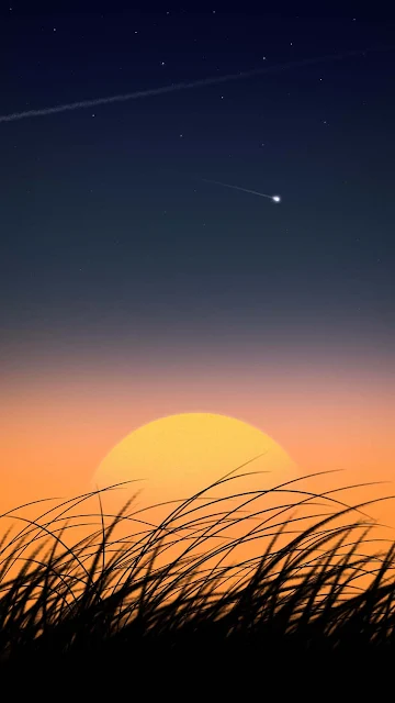 Sunset Grass Mobile Wallpaper HD