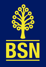 Jawatan Kosong Bank Simpanan Nasional (BSN) - 27 April 2013