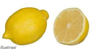 Manfaat Lemon Yang Di Fermentasi Bagi Kesehatan Manfaat Lemon Yang Di Fermentasi Bagi Kesehatan