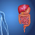 wellhealthorganic.com simple ways to improve digestive system in Hindi and English