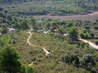 Turó de la Senyera