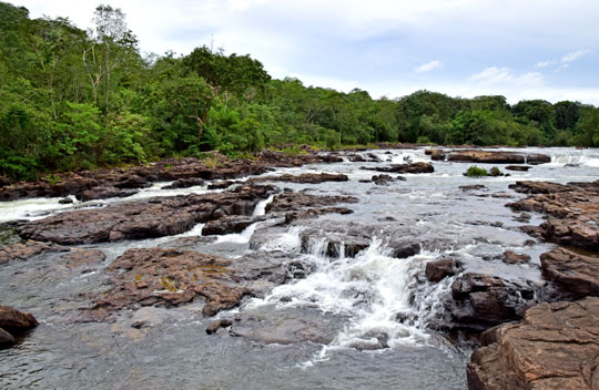 The beautiful nature of the waterway