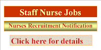 Government Staff Nurse jobs- Chhattisgarh