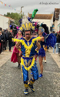 fête mimosa Saint-Trojan-les-Bains (17)