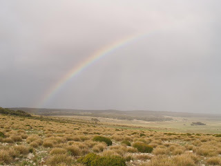 Arcobaleno