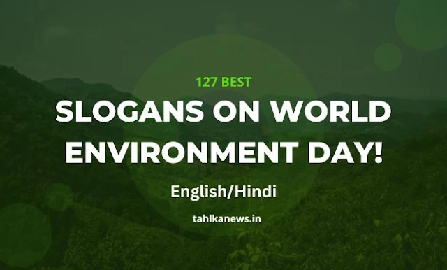 127+ Best Slogans on World Environment Day