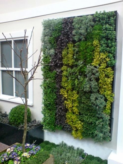 Vertical Garden