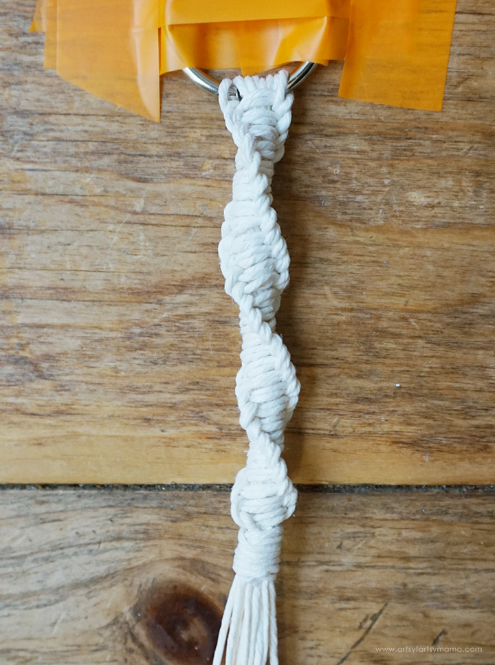 Macrame Plant Hanger