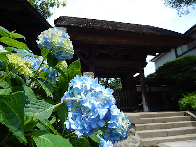  極楽寺