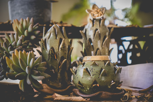 Cactos de cerâmica em forma de luminária