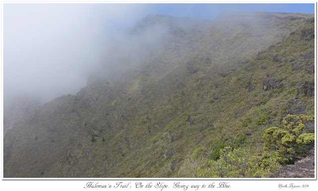 Halemau'u Trail: On the Slope. Giving way to the Blue.