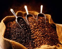 wholesale Coffee beans supplier