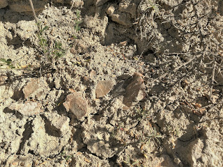 Yesos in situ, Castrillo del Val, Burgos