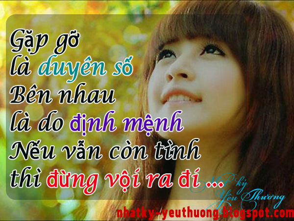 may ao thun quang cao