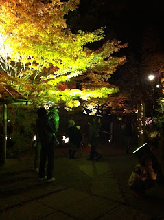 Japan, Matsushima, Autumn, Fall, 松島, 紅葉