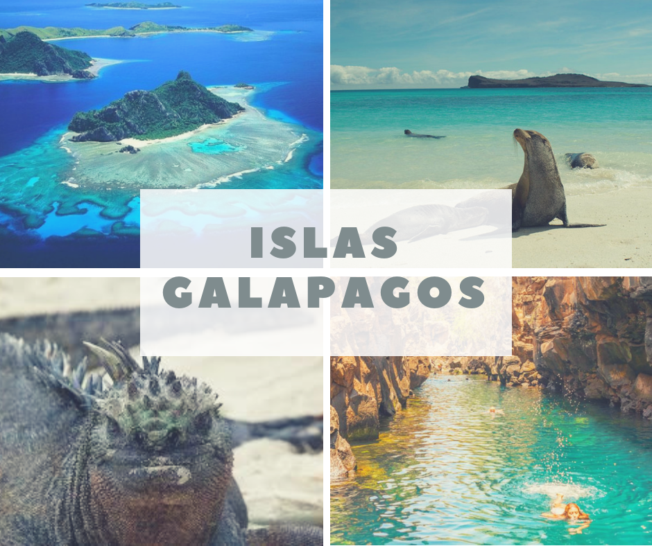 Islas Galapagos Patrimonio Natural Del Ecuador
