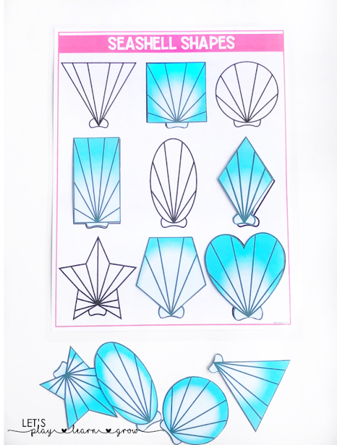 Seashell Shape Matching