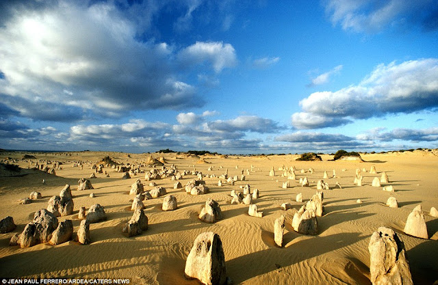 Nambung National Park in Western Australia  