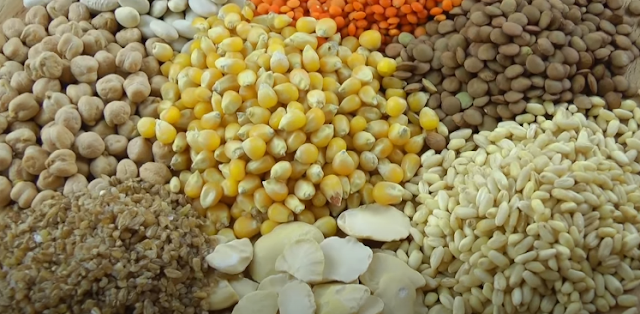 grain