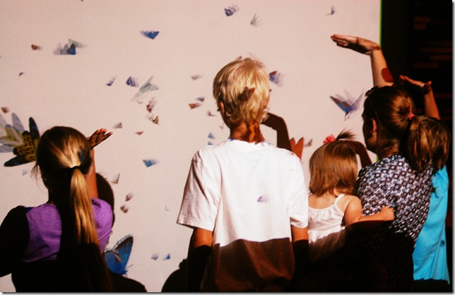 butterfly garden