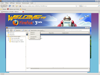 Firefox 3 beta 5 - Marque-pages 2
