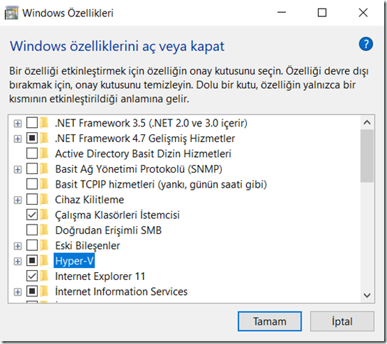 Windows özellikleri Hyper-V