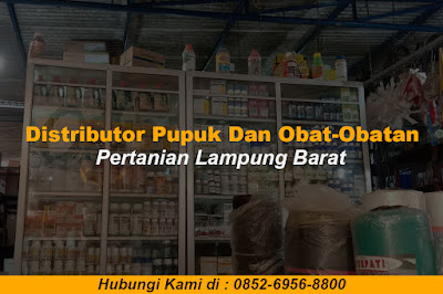 Distributor Pupuk Dan Obat-Obatan Pertanian Lampung Barat