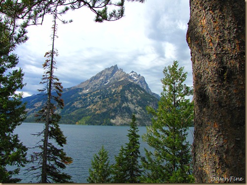 Drive in tetons_20090913_089