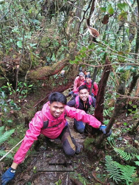 Pengalaman Mendaki Gunung Trus Madi Via Sinua Part 2