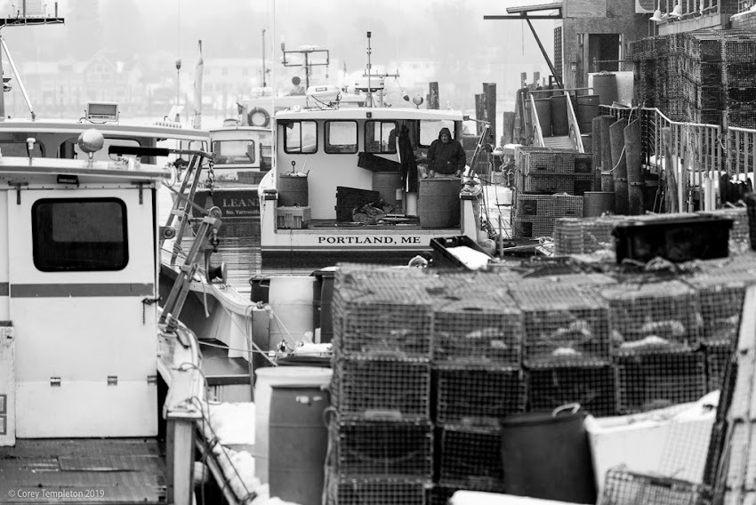The boats and lobster traps at Custom House Wharf.