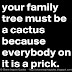 Your family tree must be a cactus because everybody on it is a prick. 