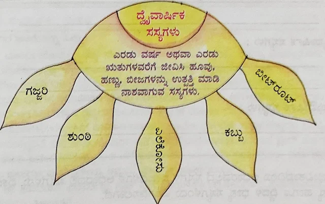 5th EVS Chapter 1st  Living World Solutions in Kannada