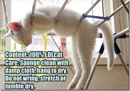 Funny Pictures: Washed cat, waiting to dry...