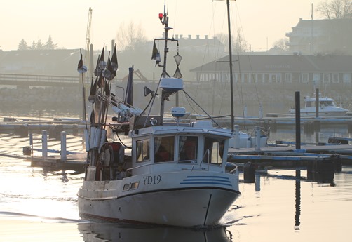 Kväll vid småbåtshamnen 006