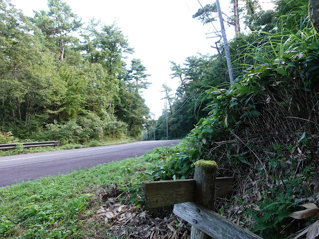 大山レークホテルに行く道があります