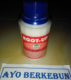 jual root up murahfungsi root up