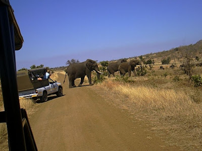 kruger south africa