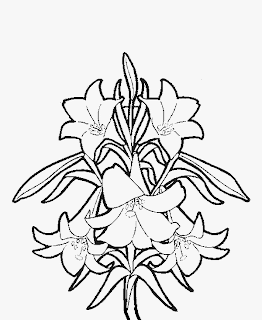 Easter Lily Spring Flower Coloring Page