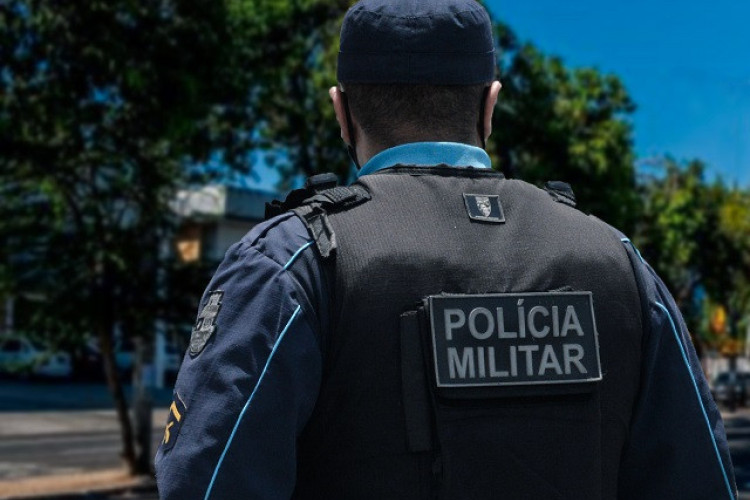Cobra jararaca é resgatada por policiais militares em parque infantil no  município de Barbalha - Secretaria da Segurança Pública e Defesa Social