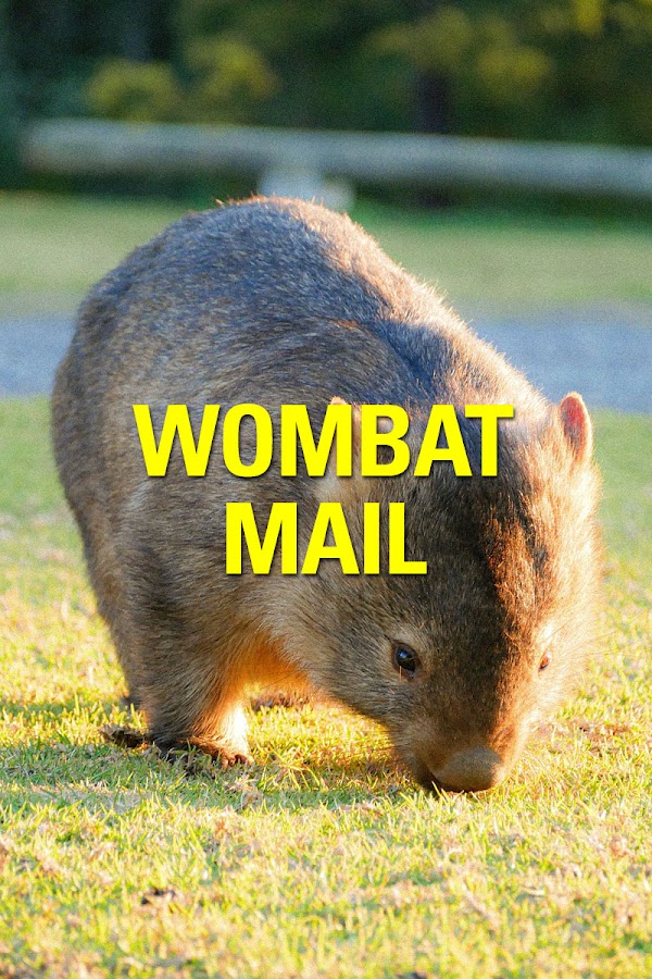 Wombatmail: DNS Tools & Data
