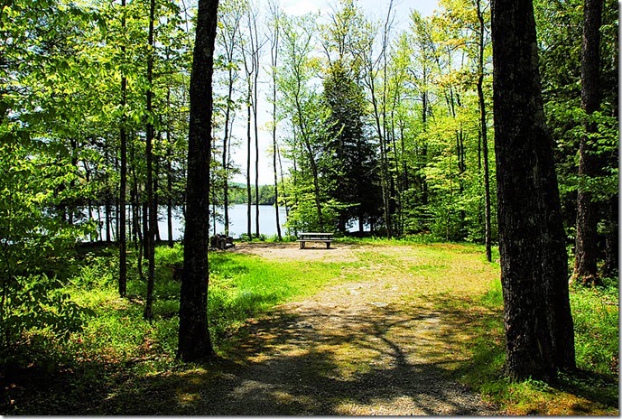 Mongaup Pond_111