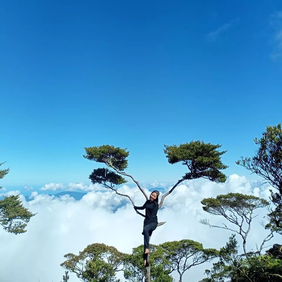 Gunung Masurai Jambi