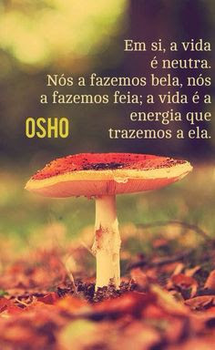 frases osho, frases espiritualidade, frases budistas, frases bonitas, frases pensadores, filósofos