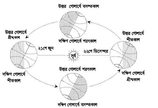 12th Week Class 9 Assignment 2021