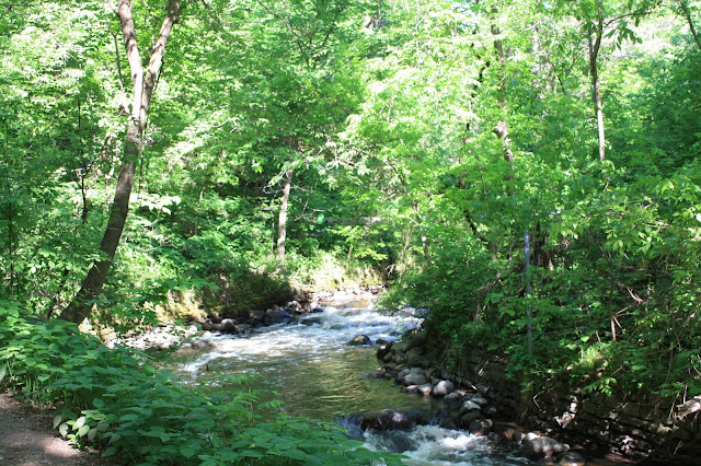 Meandering Minnehaha Creek with slight rapids