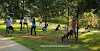5 Outdoor Workouts Perfect for Summer