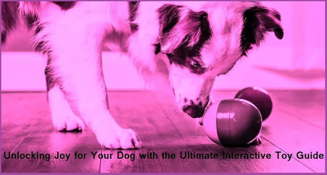 Unlocking Joy for Your Dog with the Ultimate Interactive Toy Guide