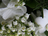 Fresh Lily Of The Valley Bouquet