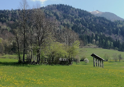 Alpine view with hay rack.